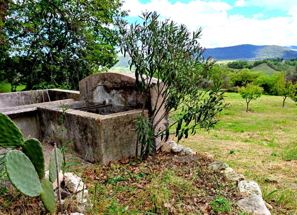 Гостьовий будинок Ai Limiti • 67 • Stonehouse Palombaro Екстер'єр фото